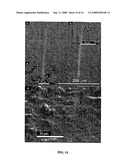 Methods for Production and Use of Synthetic Hydroxyapatite and Fluorapatite Nanorods, and Superstructures Assembled from the Same diagram and image