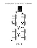 Protein Scaffolds and Viral Particles For Detecting Analytes diagram and image