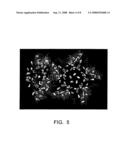 Protein Scaffolds and Viral Particles For Detecting Analytes diagram and image