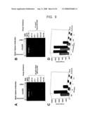 Protein Scaffolds and Viral Particles For Detecting Analytes diagram and image