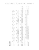 Telomerase Promoter Sequences for Screening Telomerase Modulators diagram and image