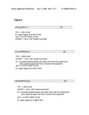 Telomerase Promoter Sequences for Screening Telomerase Modulators diagram and image