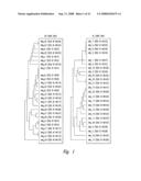 Polynucleotides encoding IL-17 receptor a antigen binding proteins diagram and image