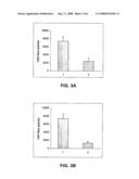 Inhibition of Wet Type Age Related Macular Degeneration (Amd) by Adiponectin or Acrp 30 diagram and image