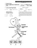 System and method for rapidly cooling cardiac arrest patient diagram and image