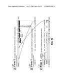 Network information distribution system and a method of advertising and search for supply and demand of products/goods/services in any geographical location diagram and image