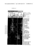 Expression Profile Of Prostate Cancer diagram and image