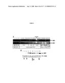 Expression Profile Of Prostate Cancer diagram and image