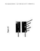 Expression Profile Of Prostate Cancer diagram and image