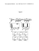 Expression Profile Of Prostate Cancer diagram and image