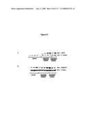 Expression Profile Of Prostate Cancer diagram and image