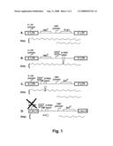 RNA interference and disease resistance in avians diagram and image