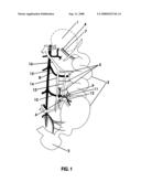 In vivo transfection in avians diagram and image