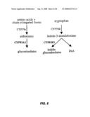 Methods of Modulating Glucosinolate Production in Plants diagram and image