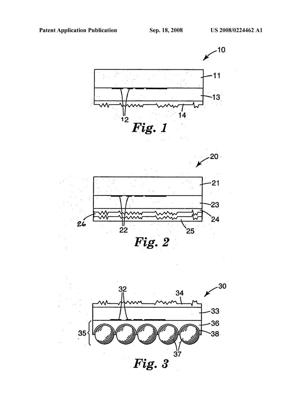 Transparent tamper-indicating data sheet - diagram, schematic, and image 02