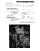 Transplantation of Glial Restricted Precursor-Derived Astrocytes for Promotion of Axon Growth diagram and image