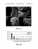 Transplantation of Glial Restricted Precursor-Derived Astrocytes for Promotion of Axon Growth diagram and image