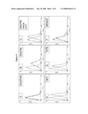 Anti-Muc1 Alpha/Beta Antibodies diagram and image