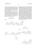 MONOMETHYLVALINE COMPOUNDS CAPABLE OF CONJUGATION TO LIGANDS diagram and image