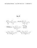 MONOMETHYLVALINE COMPOUNDS CAPABLE OF CONJUGATION TO LIGANDS diagram and image