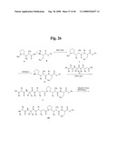 MONOMETHYLVALINE COMPOUNDS CAPABLE OF CONJUGATION TO LIGANDS diagram and image