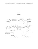 MONOMETHYLVALINE COMPOUNDS CAPABLE OF CONJUGATION TO LIGANDS diagram and image