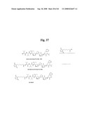 MONOMETHYLVALINE COMPOUNDS CAPABLE OF CONJUGATION TO LIGANDS diagram and image