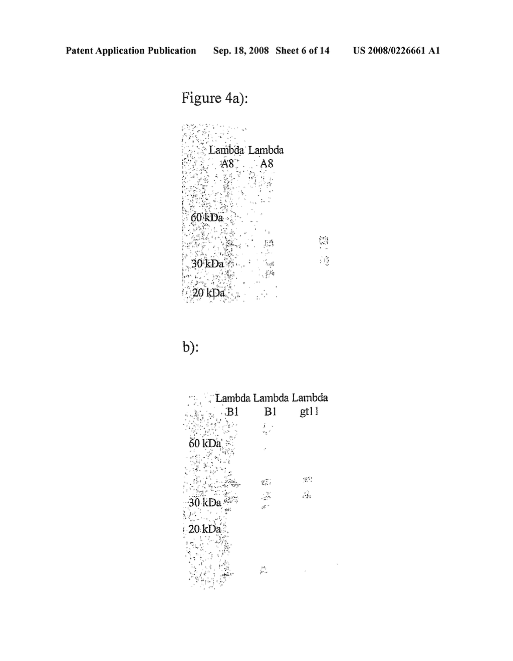 Phage Screening Assay - diagram, schematic, and image 07