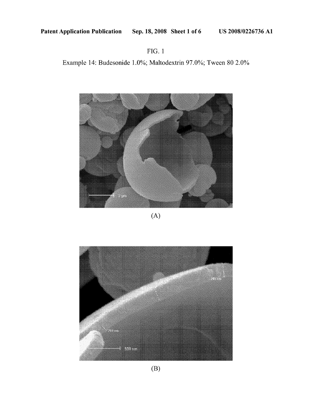 Inhalatory Pharmaceutical Compositions in Form of Dry Powders, Solutions or Suspensions Obtained From the Same and Process for their Preparation - diagram, schematic, and image 02