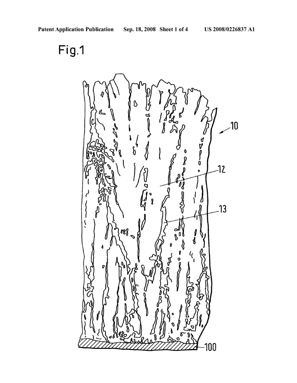Method for the manufacture of a coating having a columnar structure - diagram, schematic, and image 02
