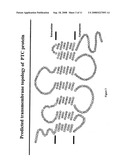 PHENYLTHIOCARBAMIDE (PTC) TASTE RECEPTOR diagram and image