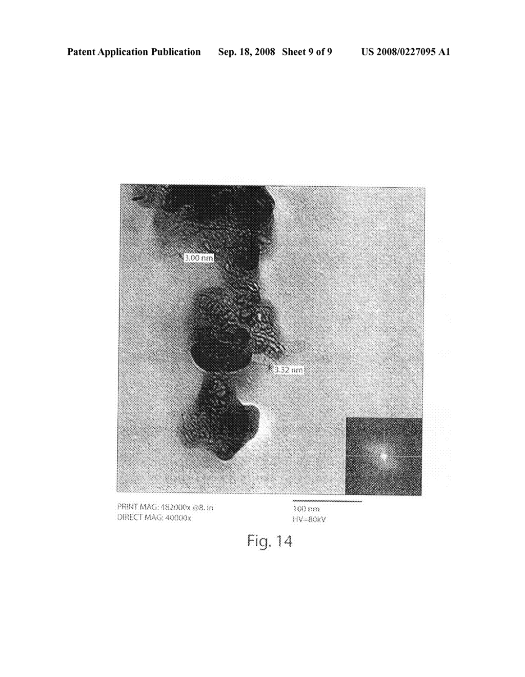 Systems and methods of analyzing nucleic acid polymers and related components - diagram, schematic, and image 10