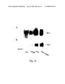 COMPOSITIONS AND METHODS FOR INCREASING CHOLESTEROL EFFLUX AND RAISING HDL USING ATP BINDING CASSETTE TRANSPORTER PROTEIN ABC1 diagram and image