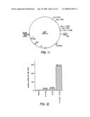 COMPOSITIONS AND METHODS FOR INCREASING CHOLESTEROL EFFLUX AND RAISING HDL USING ATP BINDING CASSETTE TRANSPORTER PROTEIN ABC1 diagram and image