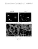 Method for diagnosing diseases diagram and image