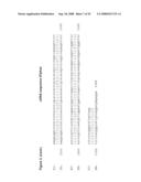 Autoimmune Conditions and NADPH Oxidase Defects diagram and image