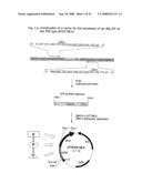 Nucleic acids encoding fusion proteins based on ribosome-inactivating proteins of the mistletoe Viscum Album diagram and image