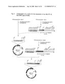 Nucleic acids encoding fusion proteins based on ribosome-inactivating proteins of the mistletoe Viscum Album diagram and image