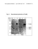 Nucleic acids encoding fusion proteins based on ribosome-inactivating proteins of the mistletoe Viscum Album diagram and image