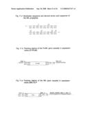 Nucleic acids encoding fusion proteins based on ribosome-inactivating proteins of the mistletoe Viscum Album diagram and image