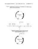 Nucleic acids encoding fusion proteins based on ribosome-inactivating proteins of the mistletoe Viscum Album diagram and image