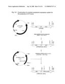 Nucleic acids encoding fusion proteins based on ribosome-inactivating proteins of the mistletoe Viscum Album diagram and image