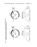 Nucleic acids encoding fusion proteins based on ribosome-inactivating proteins of the mistletoe Viscum Album diagram and image