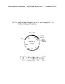 Nucleic acids encoding fusion proteins based on ribosome-inactivating proteins of the mistletoe Viscum Album diagram and image