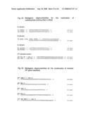 Nucleic acids encoding fusion proteins based on ribosome-inactivating proteins of the mistletoe Viscum Album diagram and image