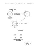 Circular DNA vectors for synthesis of RNA and DNA diagram and image