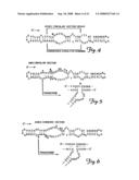 Circular DNA vectors for synthesis of RNA and DNA diagram and image