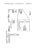 Circular DNA vectors for synthesis of RNA and DNA diagram and image