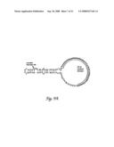 Circular DNA vectors for synthesis of RNA and DNA diagram and image