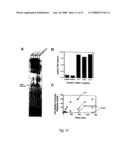 Circular DNA vectors for synthesis of RNA and DNA diagram and image